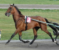 Random Shot 130808-6